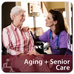 in home senior care michigan
